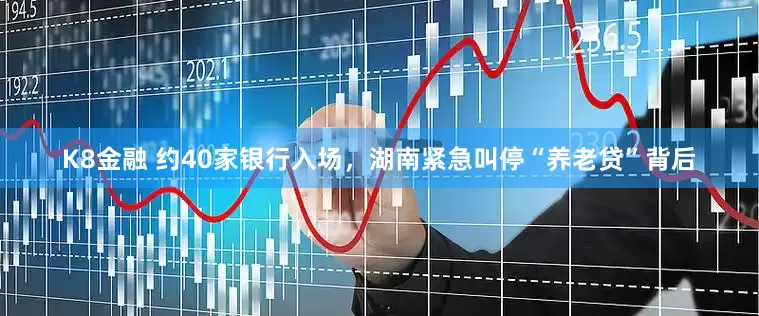 K8金融 约40家银行入场，湖南紧急叫停“养老贷”背后