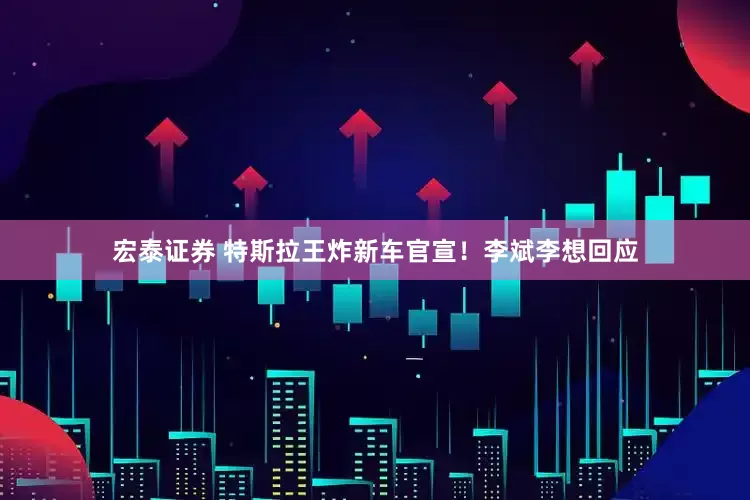 宏泰证券 特斯拉王炸新车官宣！李斌李想回应